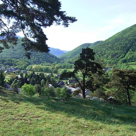 grange rénovée en gîte/maison/chalet Arreau Esterno foto